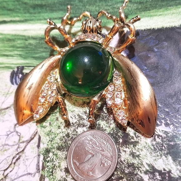 HUGE Jelly Belly Fly Brooch - Picture 5 of 7